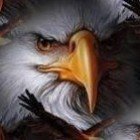 Photo of Strike Eagle