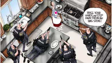 Biden admin gas stoves