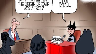 Fauci Batman Bats
