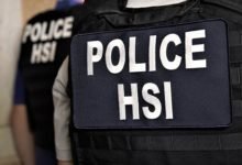 HSI Police Vest