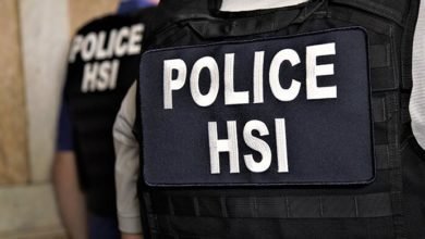 HSI Police Vest