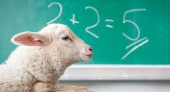 San Francisco To Pass Kids Who Score 21% On Tests — In The Name Of ‘Equity’