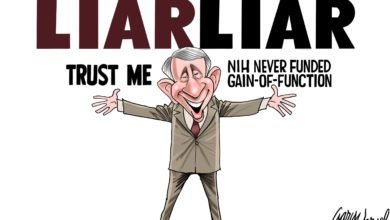 Antony Fauci liar