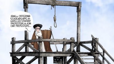 Iran protesters