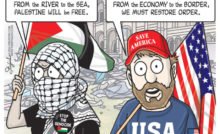 pro-hamas protesters democrats