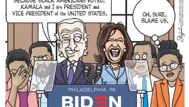 Black voter remorse Biden Harris