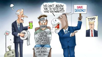 2024 election Democrats