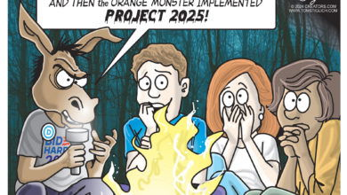 Project 2025 2024 election