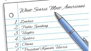 2024 election Kamala Harris scary