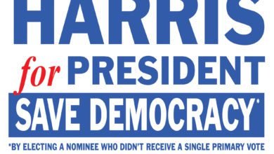 Kamala Harris 2024 election saving decmoracy