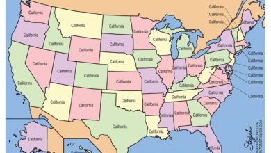 Kamala Harris America 2024 election