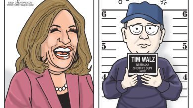 Kamala Harris Tim Walz 2024 election