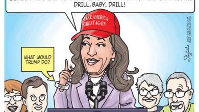 Kamala Harris 2024 election liar