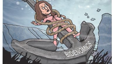 Kamala Harris bidenomics 2024 election