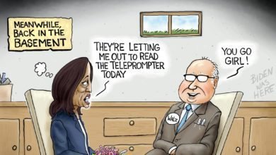 Kamala Harris hiding basement