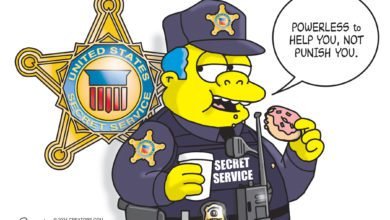 Secret Service Feckless