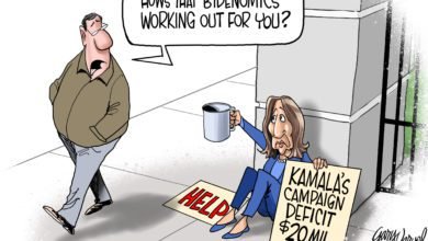 Kamala loser begging money