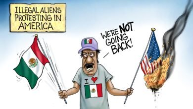 illegal alien protest flag