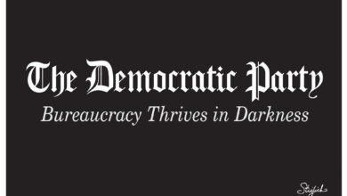 Bureaucracy thrives in Darkness Democrats corruption