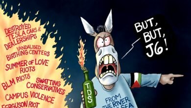 Democrats violence