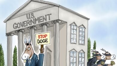 Democrats DOGE corruption theft