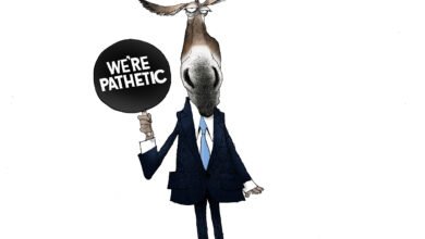 Democrats donkey pathetic useless terrible