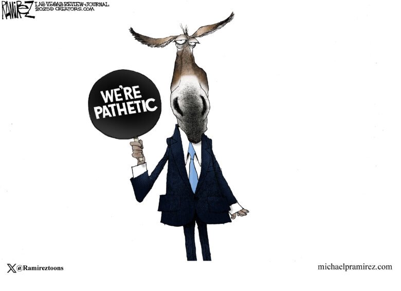 Democrats donkey pathetic useless terrible