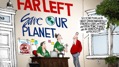 Left green climate Musk Derangement Syndrome MDS Tesla