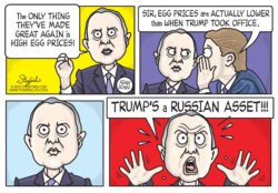 Adam Schiff Democrats egg prices