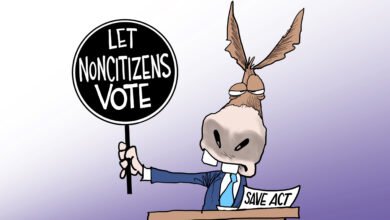 Democrats noncitizen voting illegal