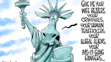 Democrats protect criminals