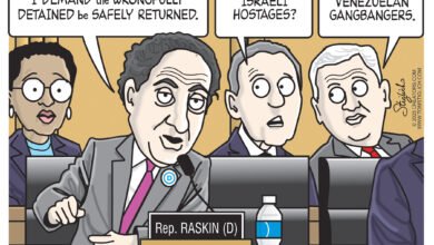 Democrats illegal criminal aliens