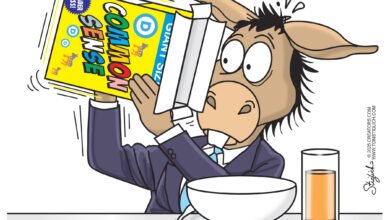 Democrats common sense