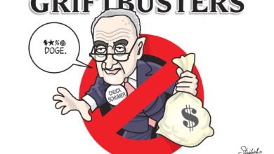 Democrats grift corruption DOGE