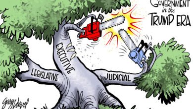 Donald Trump versus judicial activism