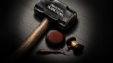 injunctions activist judges