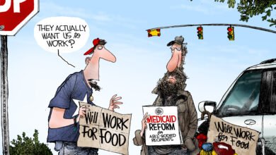 Medicaid reform work requirement