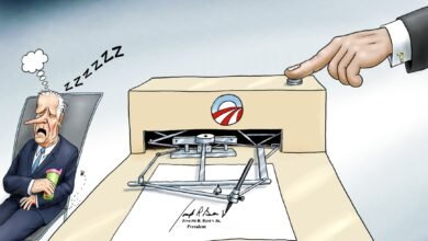 Joe BIden autopen pardons