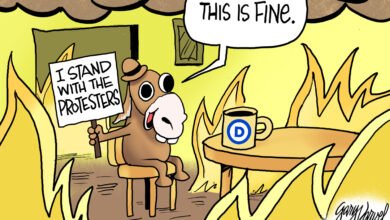 Democrats rioters protesters