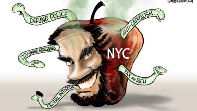 Zohran Mamdani Rotten Apple