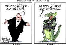 illegal immigrant detention alligator alcatraz