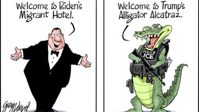 illegal immigrant detention alligator alcatraz
