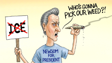 Gavin Newsom marijuana illegal immigrants