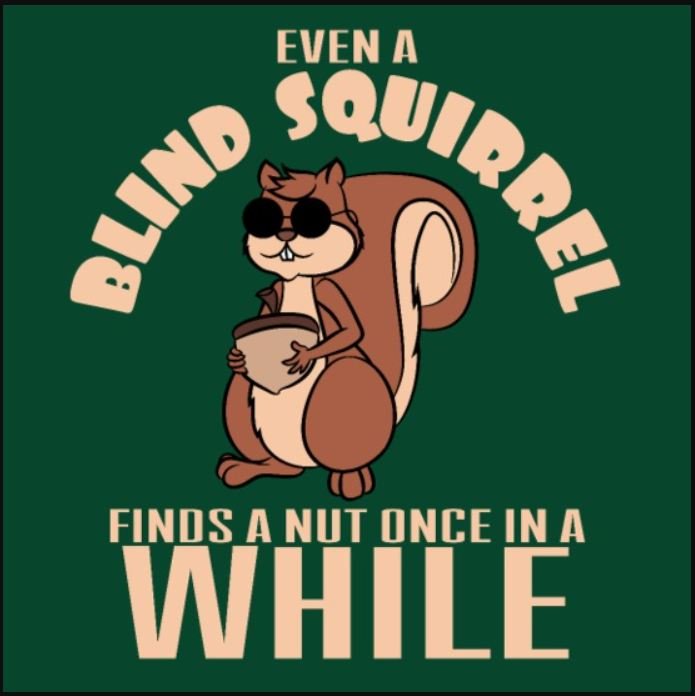 Even A Blind Squirrel Gets A Nut Sometimes, Not Democrats
