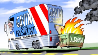 Gavin Newsom 2028 dumpster fire