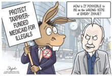 Democrats Medicaid