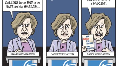 Randi Weingarten hateful smear