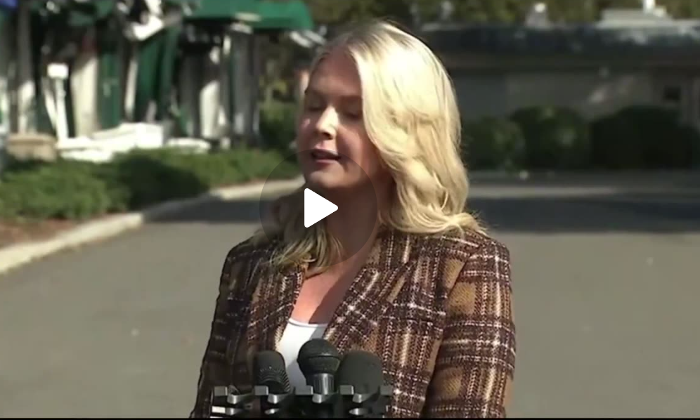 NextImg:Karoline Leavitt: ‘Thousands’ Of Federal Workers Will Be Laid Off | CDN