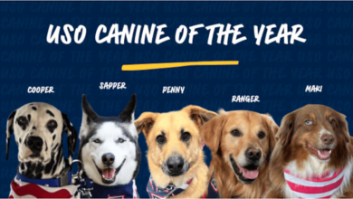 A graphic shows five dogs and their names, along with the phrase "USO Canine of the Year."